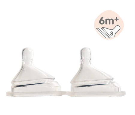 Hegen Teat Fast Flow (2Pack) 6Mth Plus
