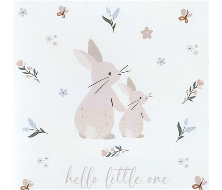 Petite Vous Hello Little One (Rabbits) Bear Gift Card