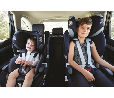 maxi guard pro 
