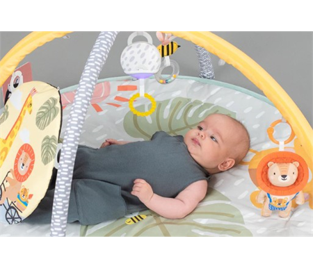 TAF - Savannah 360 Activity Gym