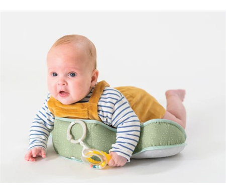 TAF - Savannah Developmental Pillow