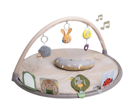 TAF - Tummy Time Activity Gym