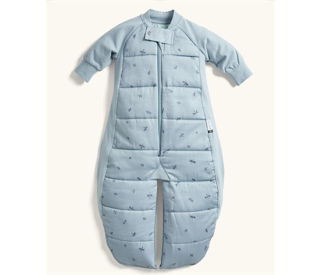 ergoPouch Sleep Suit Bag 2.5 Tog 8-24M - Dragonflies