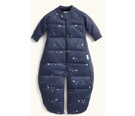 ergoPouch Sleep Suit Bag 2.5 Tog 8-24M - Lucky Ducks